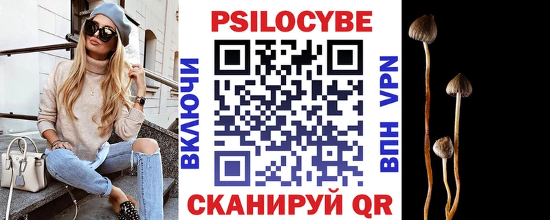 Галлюциногенные грибы Psilocybine cubensis  наркошоп  Приозерск 
